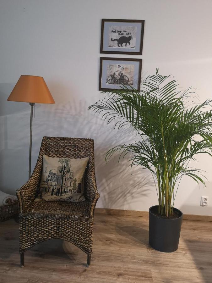 Villa Garden Paryski Olsztyn  Esterno foto
