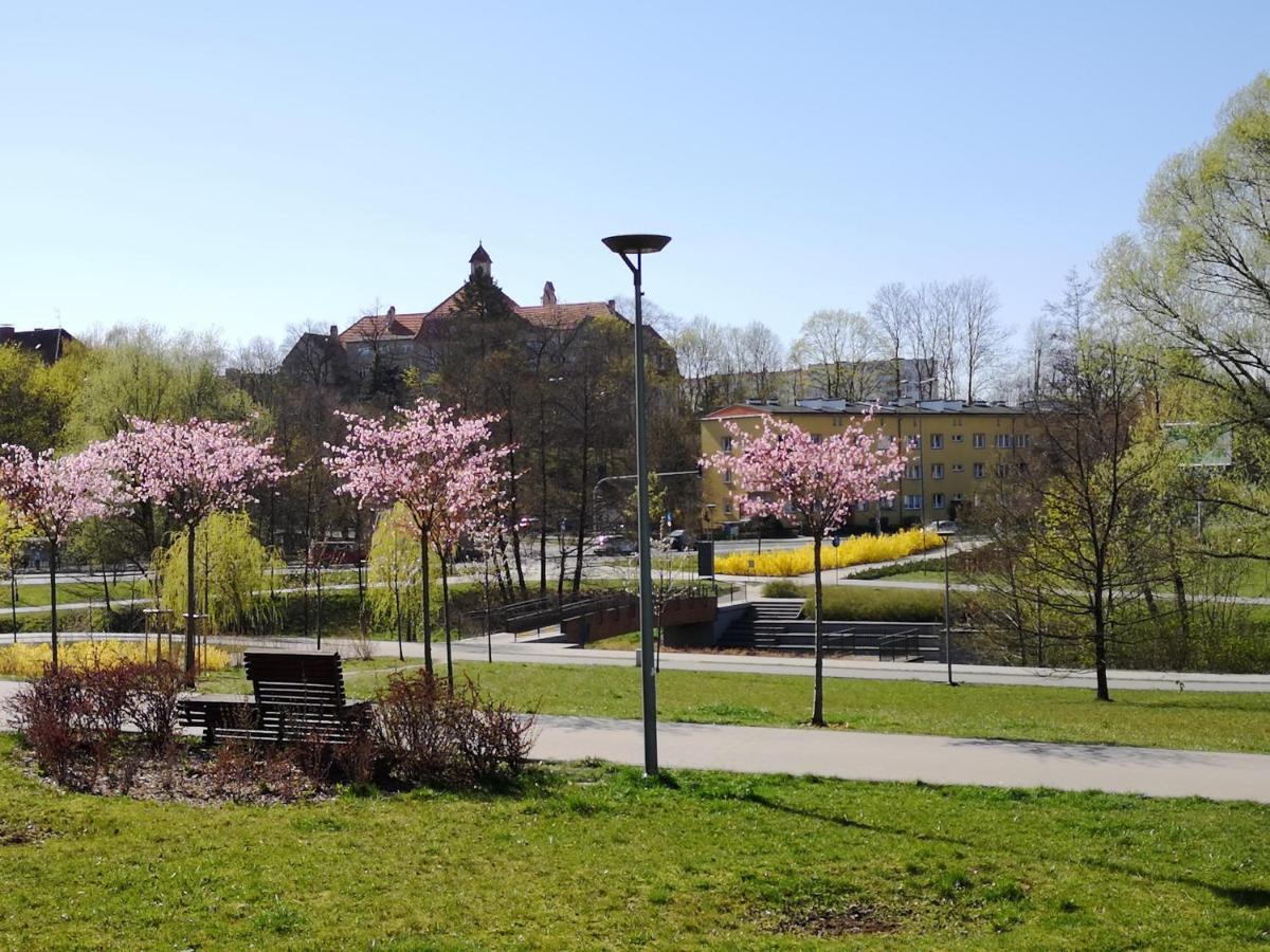 Villa Garden Paryski Olsztyn  Esterno foto
